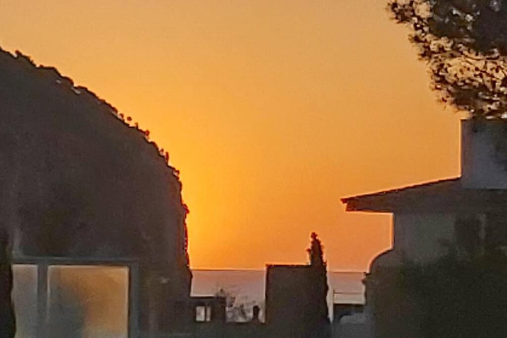 Aptment 4A Sa Calobra With Pool & Terrace Canyamel カプデペラ エクステリア 写真