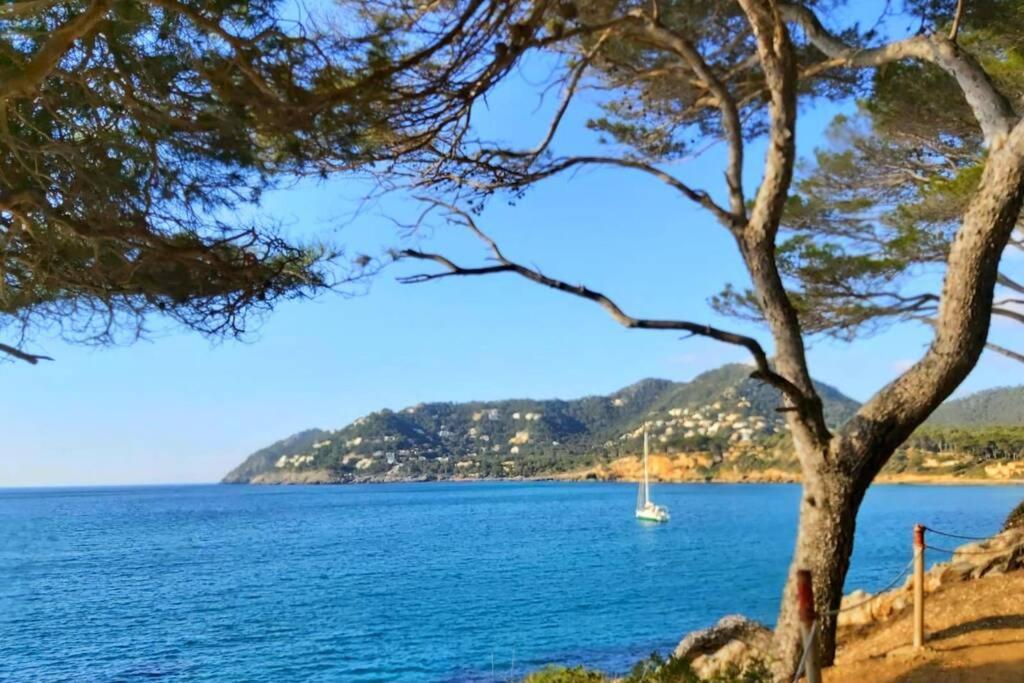 Aptment 4A Sa Calobra With Pool & Terrace Canyamel カプデペラ エクステリア 写真