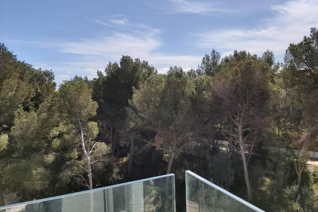 Aptment 4A Sa Calobra With Pool & Terrace Canyamel カプデペラ エクステリア 写真